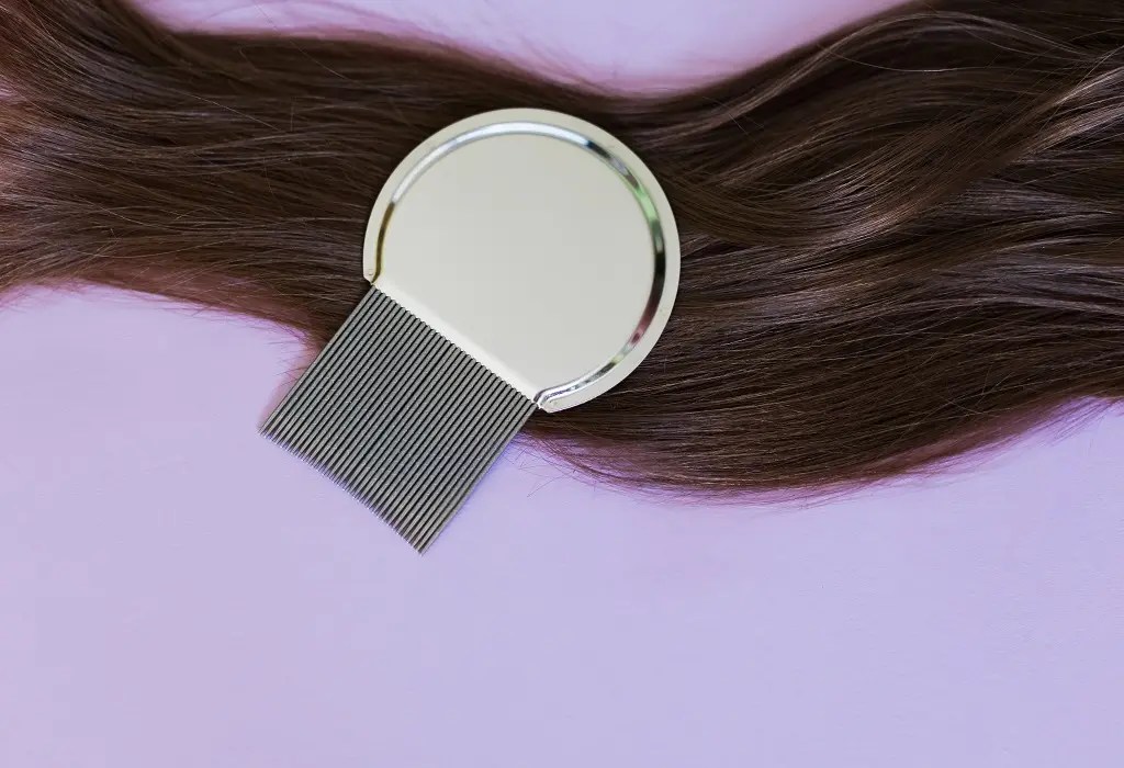 How to Clean Lice Comb LiceDoctors LiceDoctors